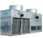 screenshot 2026 01 20 131024